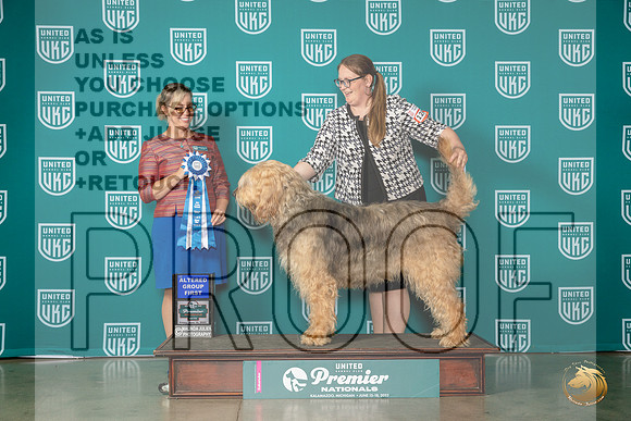 Otterhound #1299 Fri AG1 Judge Felicity TrammellMJP_4643_Premier2023_HR3