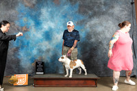American Bully #393 Sat BOW Judge Lynn Martin