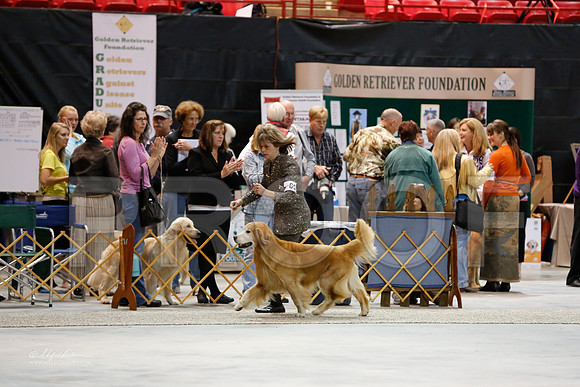 Vet10-12-0688-WFOct2013-HR