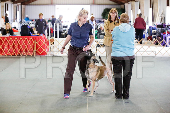 _CA_0623-DFWLabNov2015-©JulienLambertphoto.com-HR3