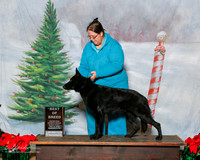German Shepherd Dog #? Sat BOB Judy Malone