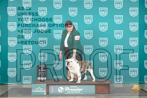 English Bulldog #302 Thurs T10BOB Judge Sharon Griffin__JP_0778_Premier_2024_HR3
