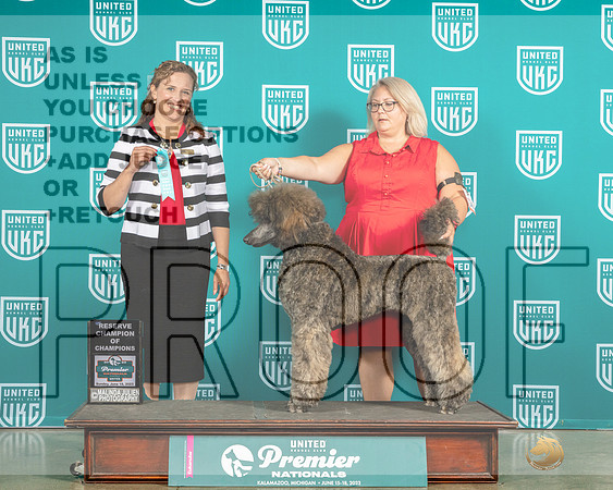 Poodle Std MC #340 Sun RCOC Judge Tricia Till-MJP_5818e-Premier2023-HR3