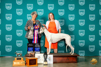 Greyhound #102 Wed ChBOBGr Judge Mary King