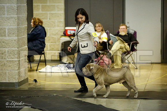 _JJ_5796-BeltonJan2015IABCA-HR3
