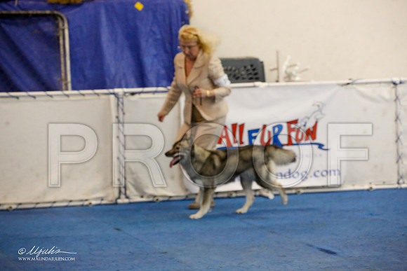 _M3_1004-AddisonHuskyMar2015-HR3