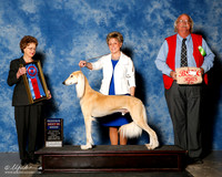 Saluki #5 Fri RBIS Middlebrooks and T Turley Kocab abd M Kocab Agent Erin Roberts Judge Patricia Trotter