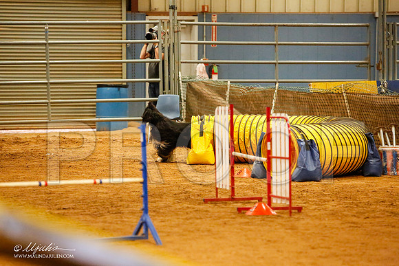 _JJ_5899-AfgBeltonOct2014-HR3