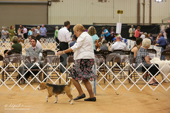 Beag-3057-Tex2013 HR3