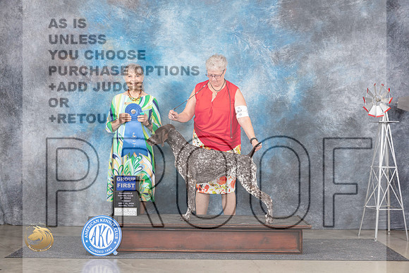 German Shorthaired Pointer #8 Sun G1 Judge Jill Warren__JP_6481_Amarillo_2024_HR3