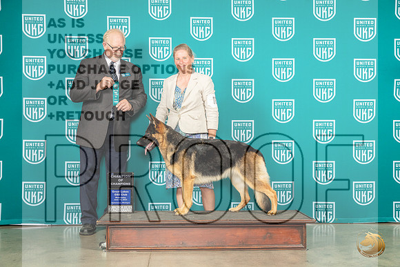 German Shepherd Dog #115 Wed CH of CH Judge Fred HyerMJP_3465_Premier2023_HR3