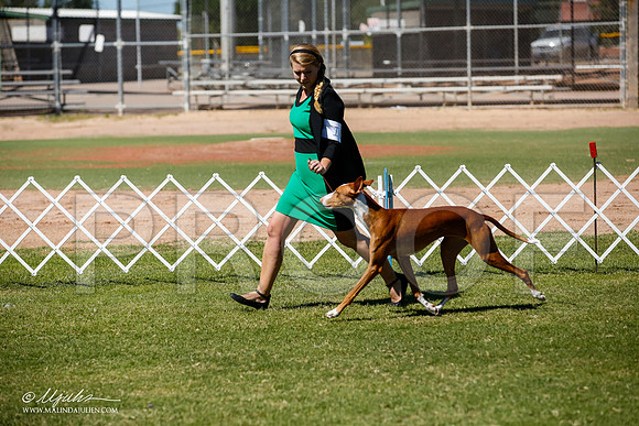 _JJ_7672-AlamogordoOct2014-HR3