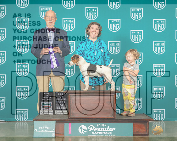 Parson Russell Terrier #349 Fri BMBOWBOB Judge Ron Horn-MJP_4657e-Premier2023-HR3