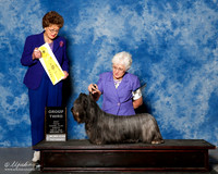 Skye Terrier #6 Sun G3 Shiue Michelle Agent Brenda Lee Combs Judge Patricia Trotter