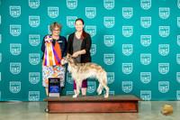 Silken Windhound #122 Wed BISS Judge Jennifer Landers