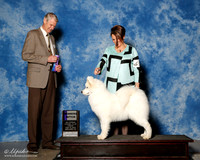 Samoyed #12 Fri WB T Galle Claire ONeil Evy Eidjaja Judge Jon Cole