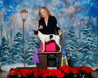 Rat Terrier #? Ann Amicos Sat S2 NC BOW