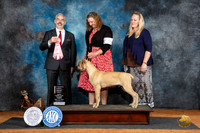 Boerbel #9 Fri PG1 Judge Dale Martensen
