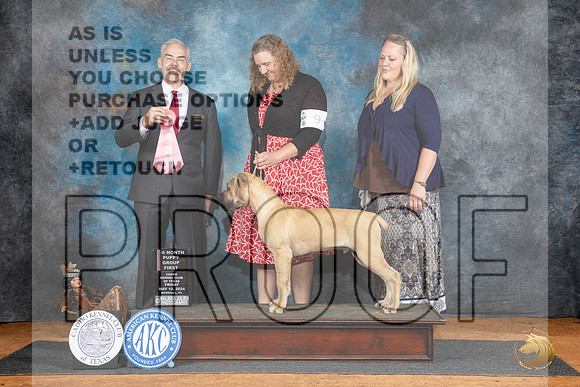 Boerbel #9 Fri PG1 Judge Dale Martensen__JP_7135_MARSHALL_2024_HR3