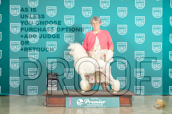 Poodle Std #1209 Sat JrM Judge Pat O'DonnellMJP_5927_Premier2023_HR3