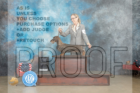 Dachshund Wirehaired #18 Fri G3 Judge Pat Trotter_MJ_6289_ARK2023_HR3