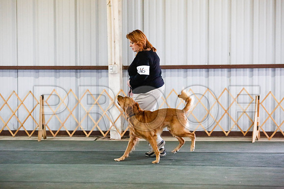 _CA_0658-DFWLabNov2015-©JulienLambertphoto.com-HR3