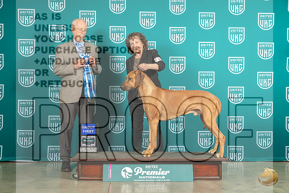 Rhodesian Ridgeback #1052 Sun G1 Judge Ron HornMJP_6295_Premier2023_HR3