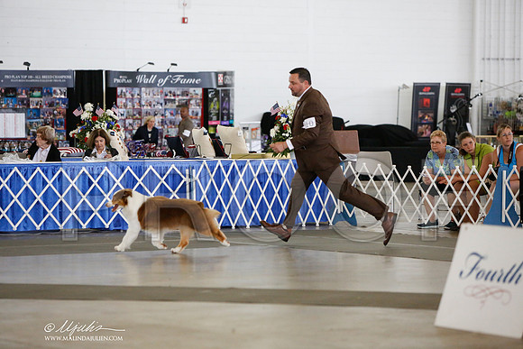 _JJ_3151-DallasJul2014-HR3