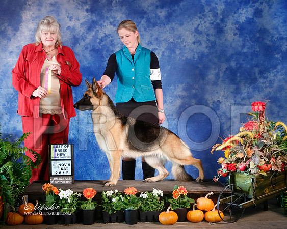 GSD-4360-HstnNov13-HR