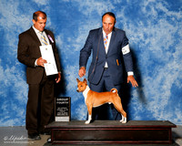 Basenji #5 Fri G4 Behles JD a Whalen Allen Judge Ricardo Forastieri Gonzalez