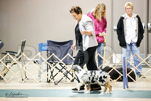 _JJ_1078-ASCACollegeStationNov2014-HR3