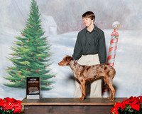 Plot hound #? Sun S2 NC Miranda Career