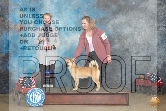 Icelandic Sheepdog #6 Thur BOBOHBOB Judge Edweena (Teddy) McDowell_MJ_5652e_Ark2023_HR3