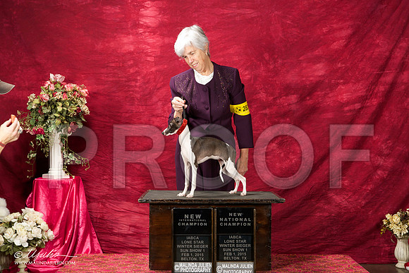 _ST_2770-BeltonJan2015IABCA-HR3
