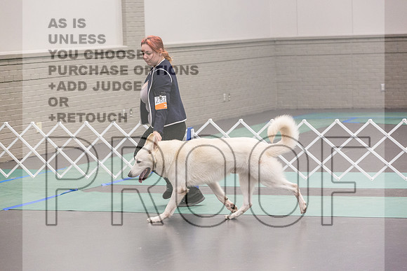 White Shepherd Sat Rings_JJL_9566_UKCLNGVIEWOCT2024_2024_HR3