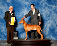 Pharaoh Hound #5 Sat G3 Mosing Jennifer and Emily Kerridge Agent Brian Livingston Judge Charles Trotter