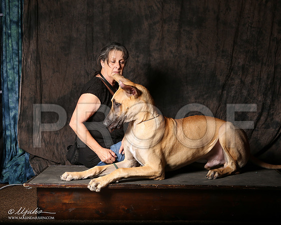 Dane-9425-Tex2013 HR3