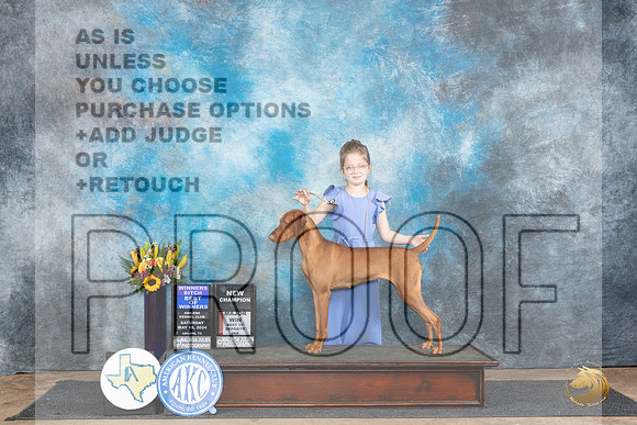 Vizsla #10 Sat WBBOWBOSMCH Judge Sharol Candace Way__JP_9753_Abilene_2024_HR3
