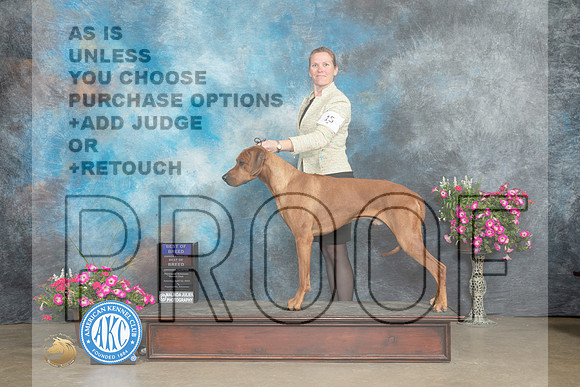 Rhodesian Ridgeback #18 Sat BOBOHBOB Judge Terry Stacy_MJ_6809_ARK2023_HR3