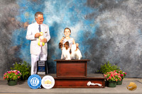 Papillon #J405 Fri BJr Judge George Milutinovich