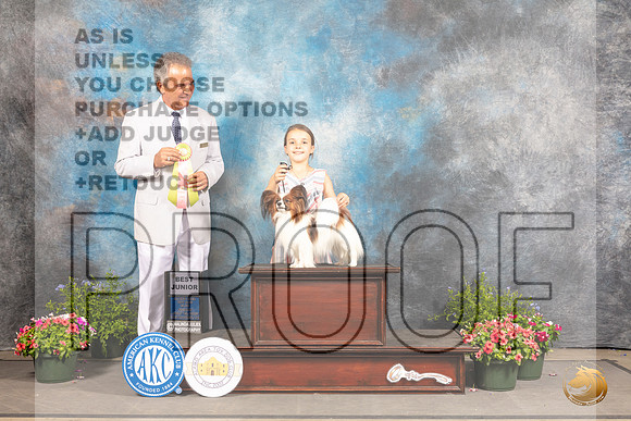 Papillon #J405 Fri BJr Judge George Milutinovich_MJ_0037_SA_2022_HR3