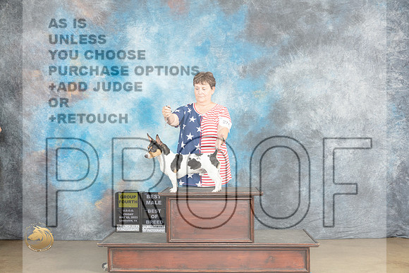 Teddy Roosevelt #274 Fri BOBG4 Judge Chandra MartinMJP_1958_UKCLNVWMAY2023_HR3