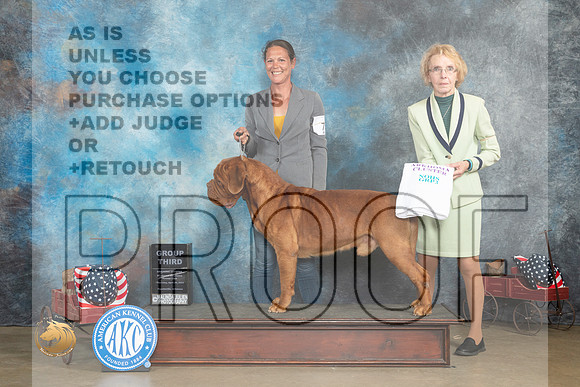 Dogue de Bourdeaux #7 Thur G3 Judge Edweena (Teddy) McDowell_MJ_5720_ARK2023_HR3