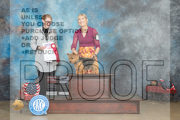 Norwich Terrier #6 Thur G2 Judge Edweena (Teddy) McDowell_MJ_5779_ARK2023_HR3