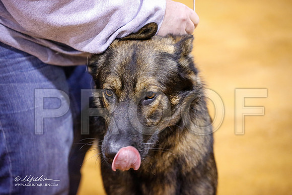 GSD-7259-MrshllDec13-HR