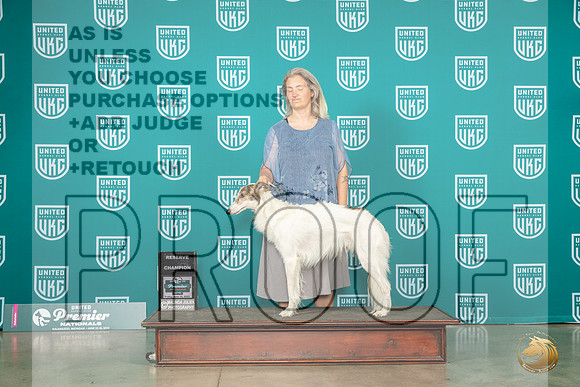 Silken Windhound #1322 Fri RCH Judge Felicity TrammellMJP_4587_Premier2023_HR3