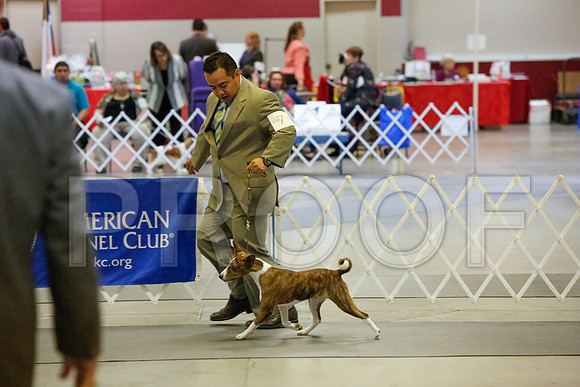 _JJ_3490-AmarilloSept2014-HR3