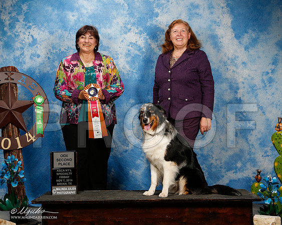 _ST_6213-2-ASCAnov2014-HR3