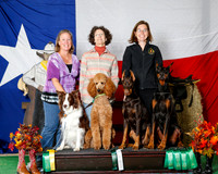 Mary Swindell Sat Custom Doberman Poodle Border Collie