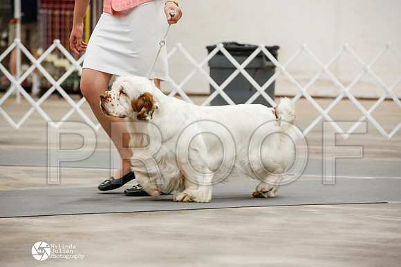 _JN_0466-AblnMay2014-web